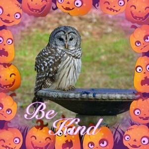 Meet your Posher, Sally